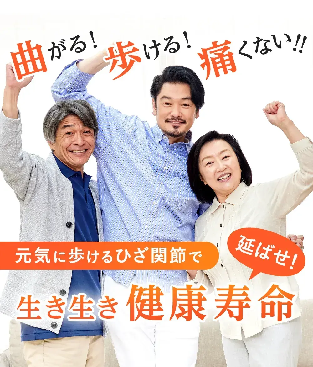 曲がる！歩ける！痛くない！ 元気に歩けるひざ関節で 延ばせ！生き生き健康寿命